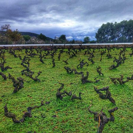 Agroturismo Sa Vinya D'En Palerm Sant Miquel de Balansat Exterior foto