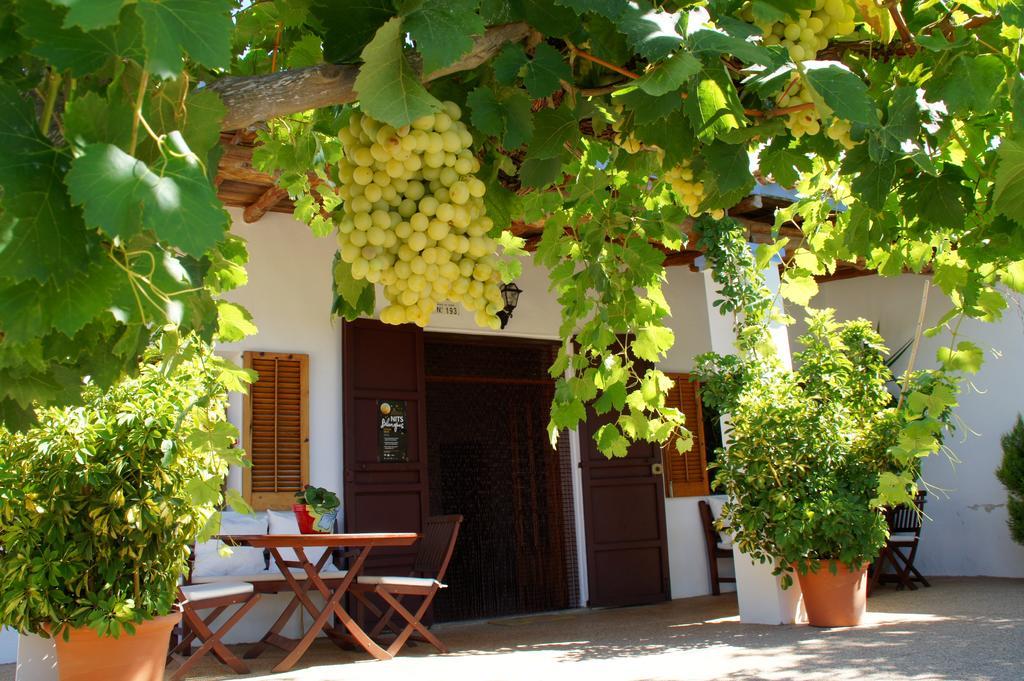 Agroturismo Sa Vinya D'En Palerm Sant Miquel de Balansat Exterior foto