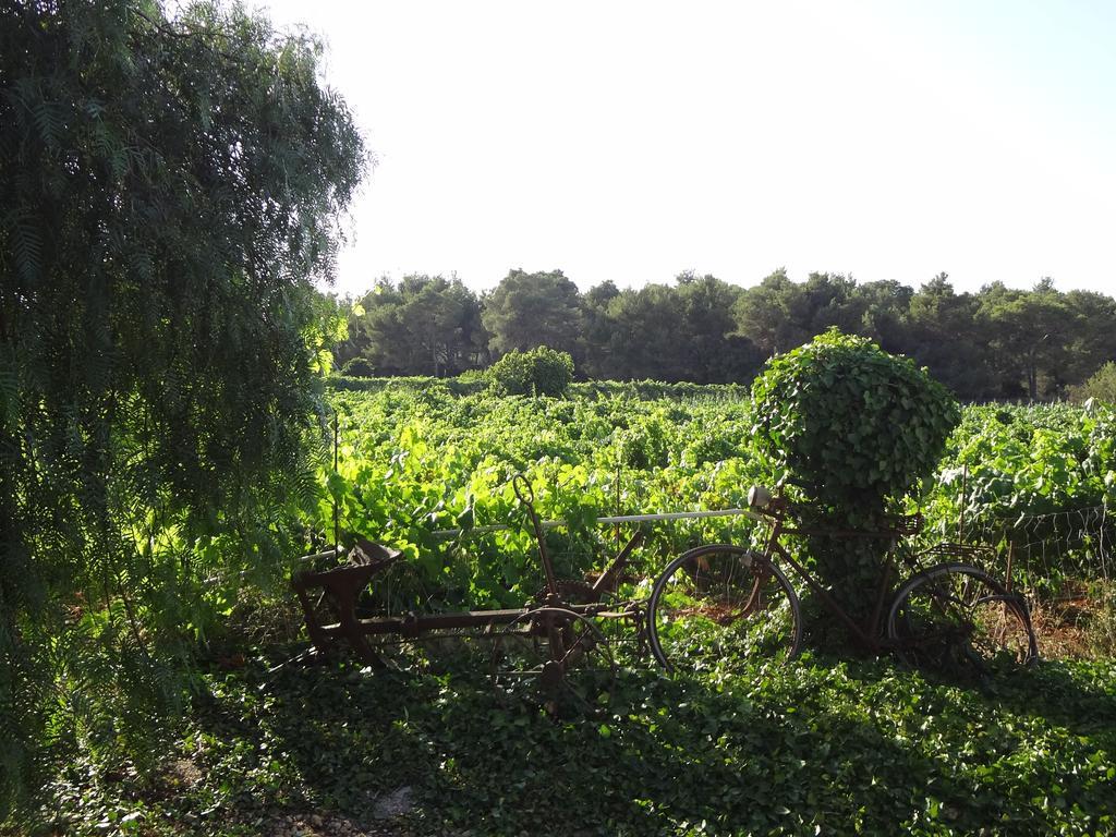 Agroturismo Sa Vinya D'En Palerm Sant Miquel de Balansat Exterior foto