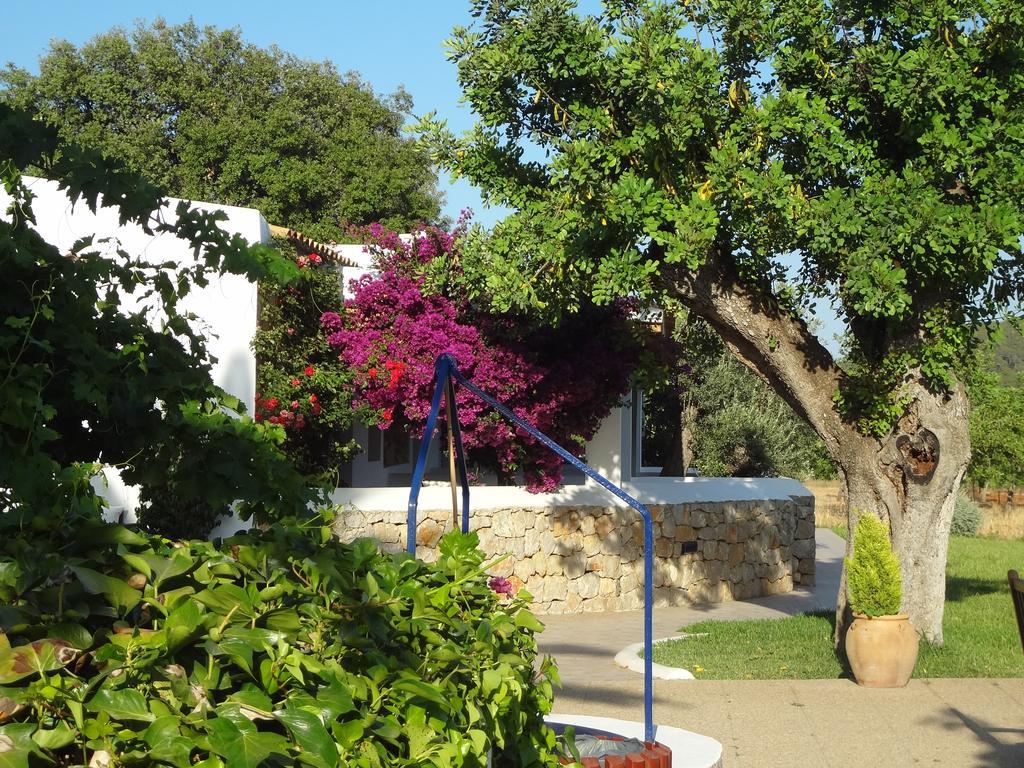 Agroturismo Sa Vinya D'En Palerm Sant Miquel de Balansat Exterior foto