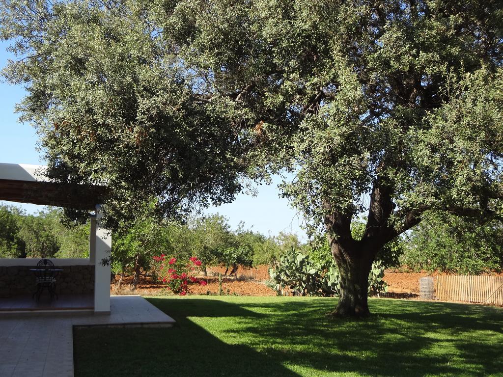 Agroturismo Sa Vinya D'En Palerm Sant Miquel de Balansat Exterior foto