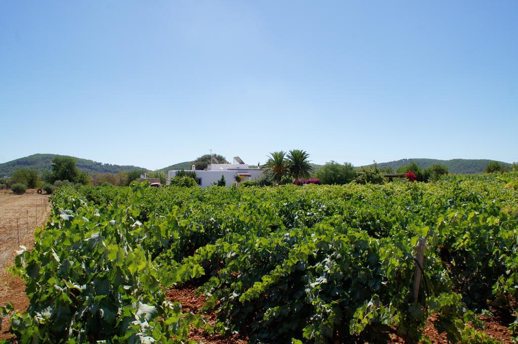 Agroturismo Sa Vinya D'En Palerm Sant Miquel de Balansat Exterior foto