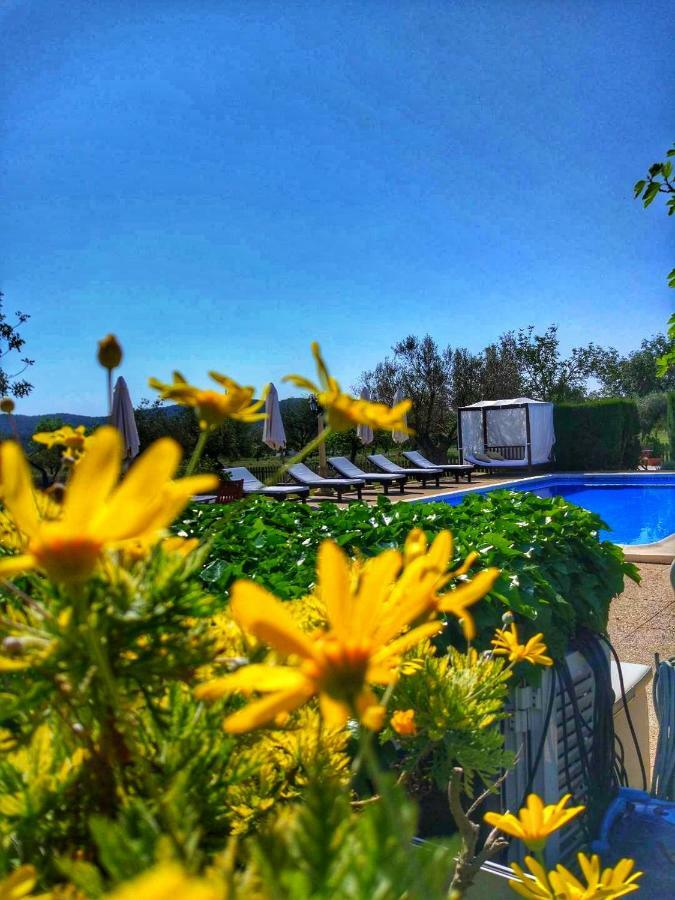 Agroturismo Sa Vinya D'En Palerm Sant Miquel de Balansat Exterior foto