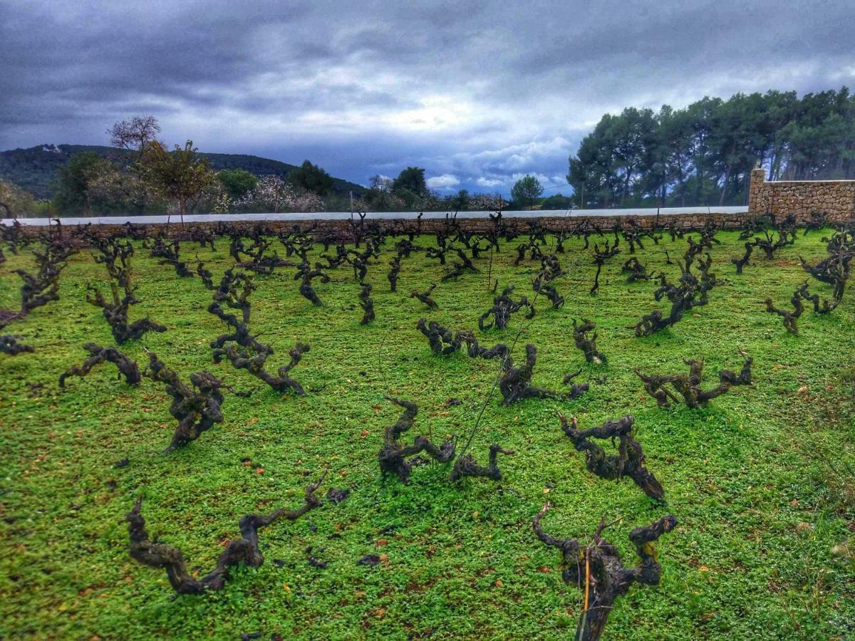 Agroturismo Sa Vinya D'En Palerm Sant Miquel de Balansat Exterior foto